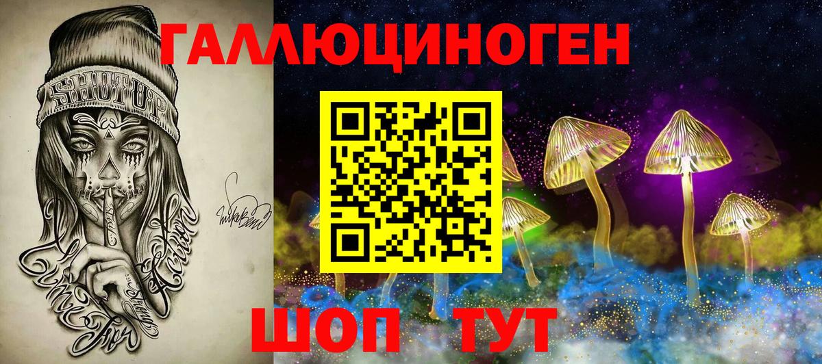 Прохладный  Галлюциногенные грибы Psilocybe  Вход с VPN 