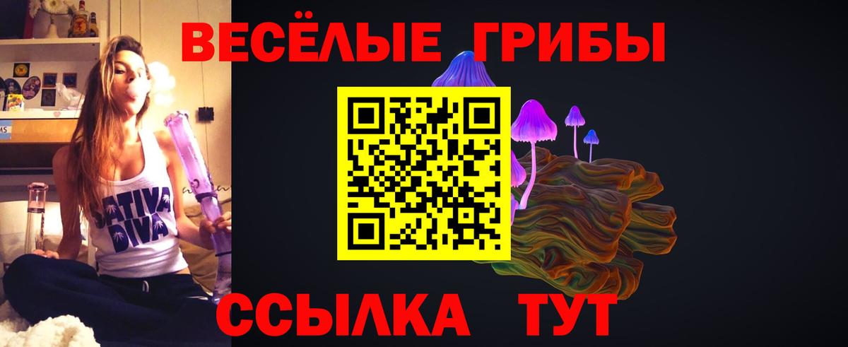 Псилоцибиновые грибы Psilocybe Прохладный